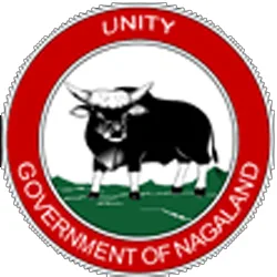 Government recognized universities in Kohima Nagaland